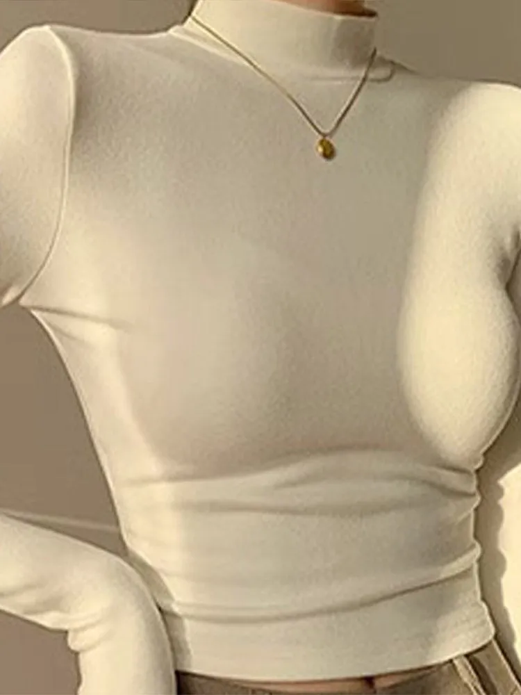 thanksgiving outfit Joskaa Double Sided Fleece Turtleneck Base Shirt Women Casual Slim Solid Long Sleeve Knitted Pullovers Lady Autumn Chic Thick Warm Tops